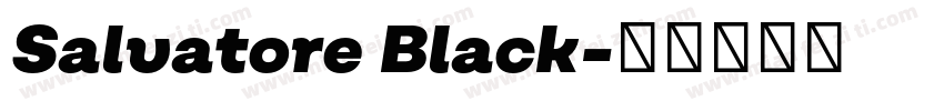 Salvatore Black字体转换